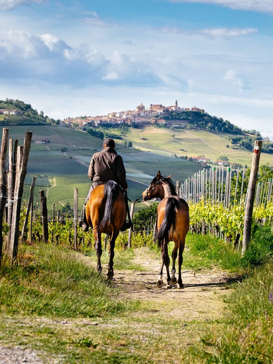 Tuscany Tuscany