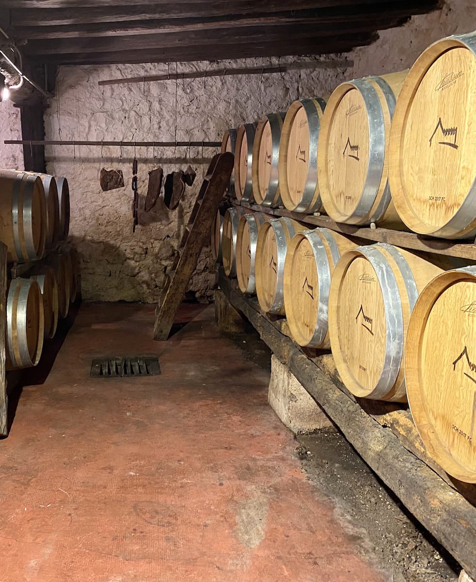 Wine Tasting Tours Bolzano Wine Tasting Tours Bolzano