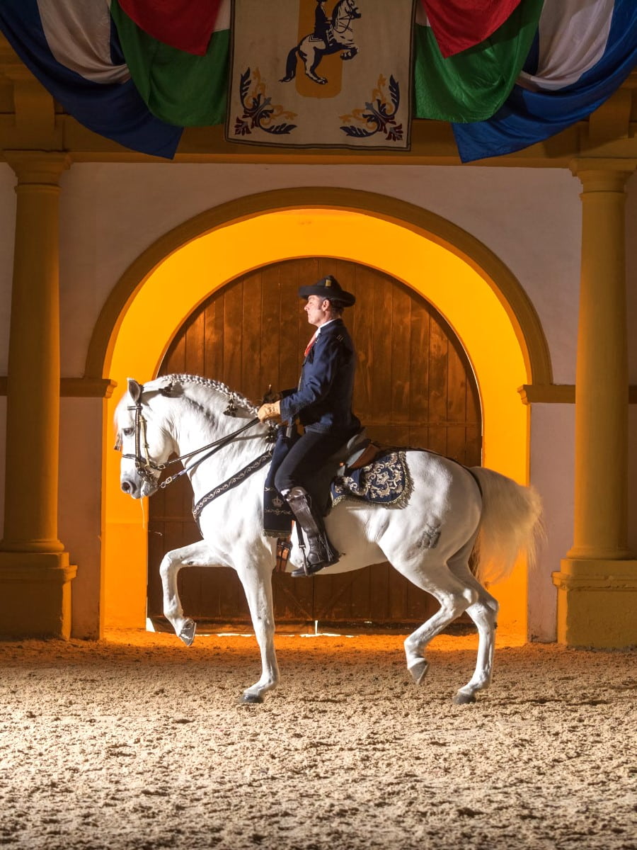 Andalusian School of Equestrian Art, Jerez de la Frontera