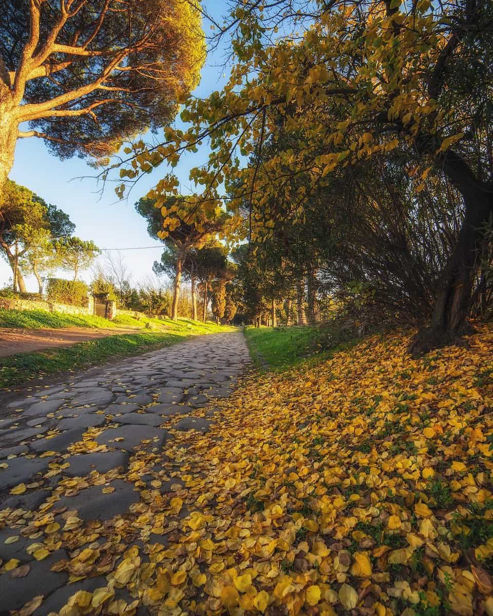 Autumn Foliage, Brindisi