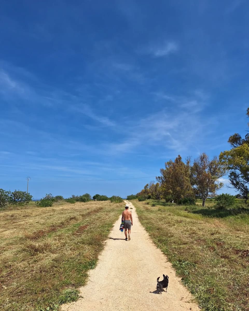 Autumn Foliage, Brindisi