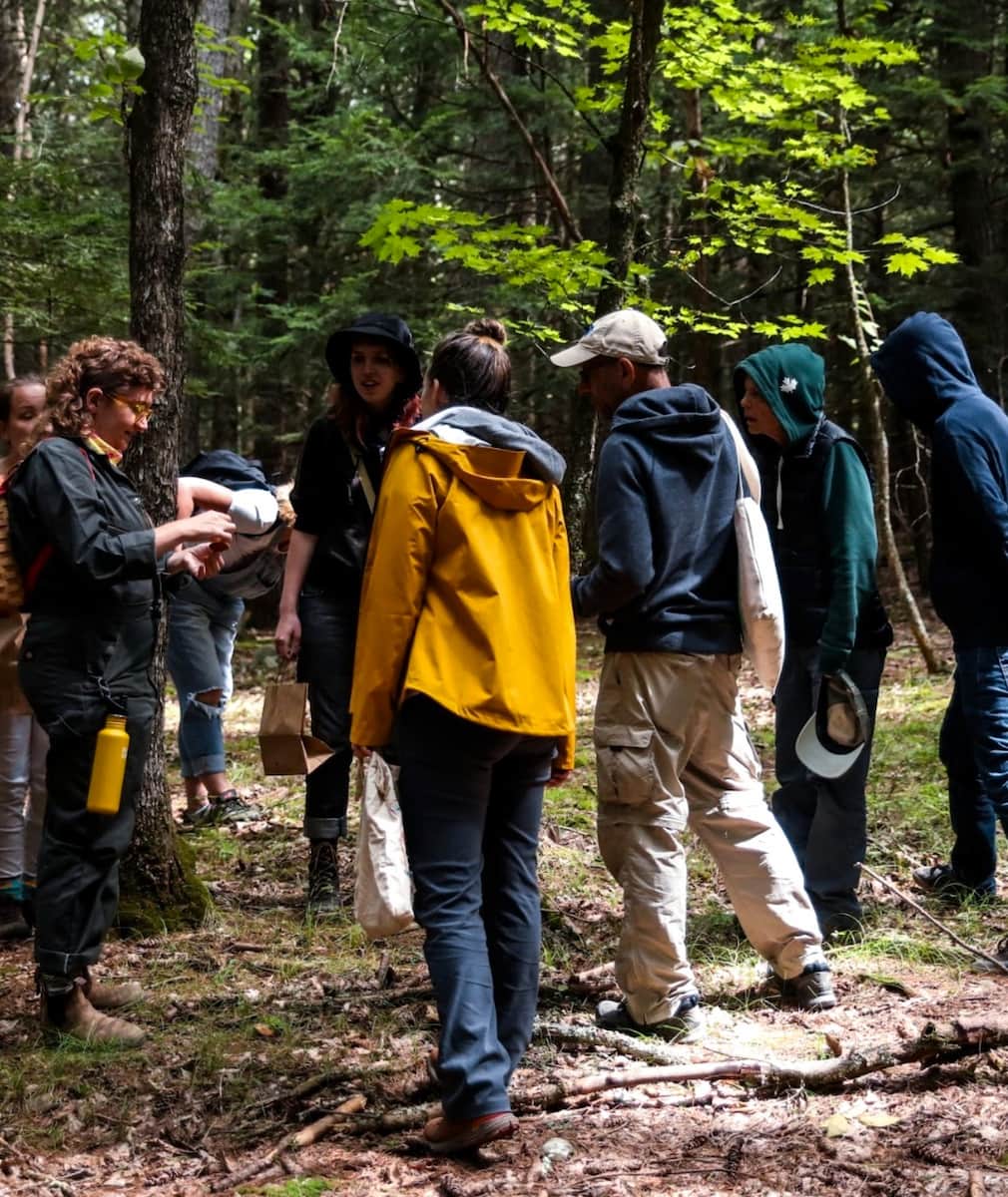 Autumn Foliage Walks in Monterosso Hills Autumn Foliage Walks in Monterosso Hills