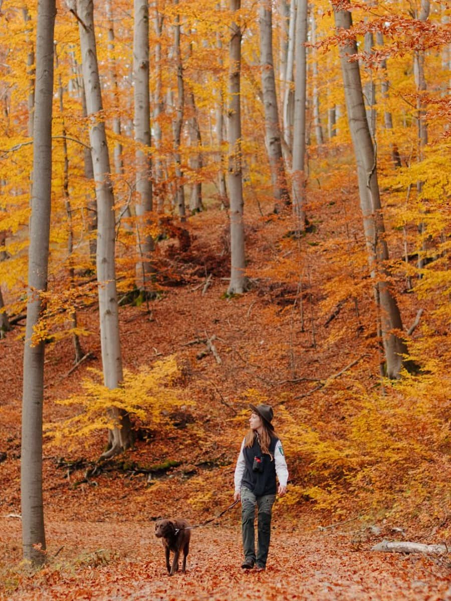 Autumn in Berchtesgaden Autumn in Berchtesgaden