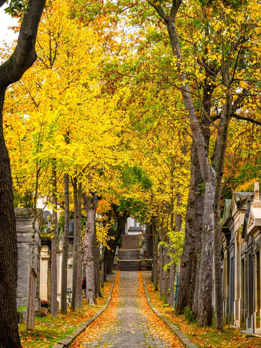 Autumn in Le Marais Autumn in Le Marais
