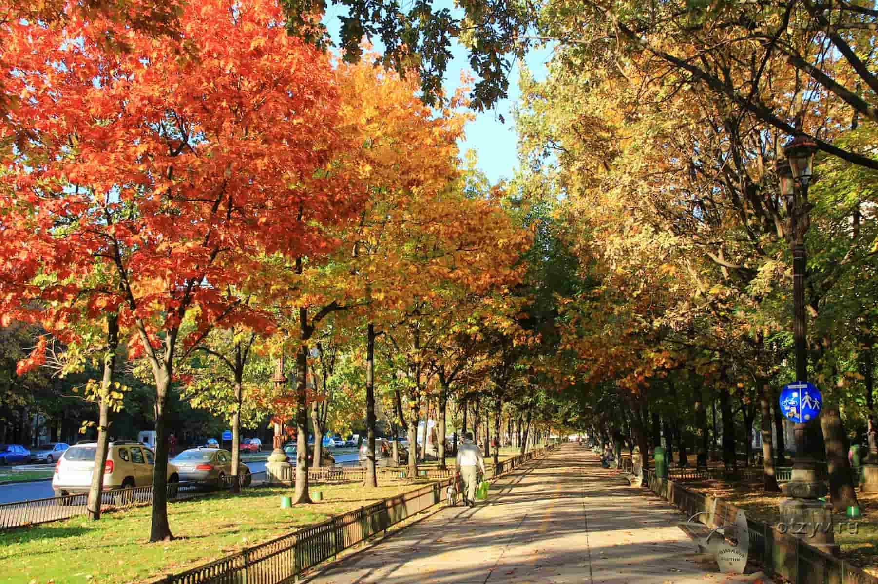 Autumn in Menton Autumn in Menton