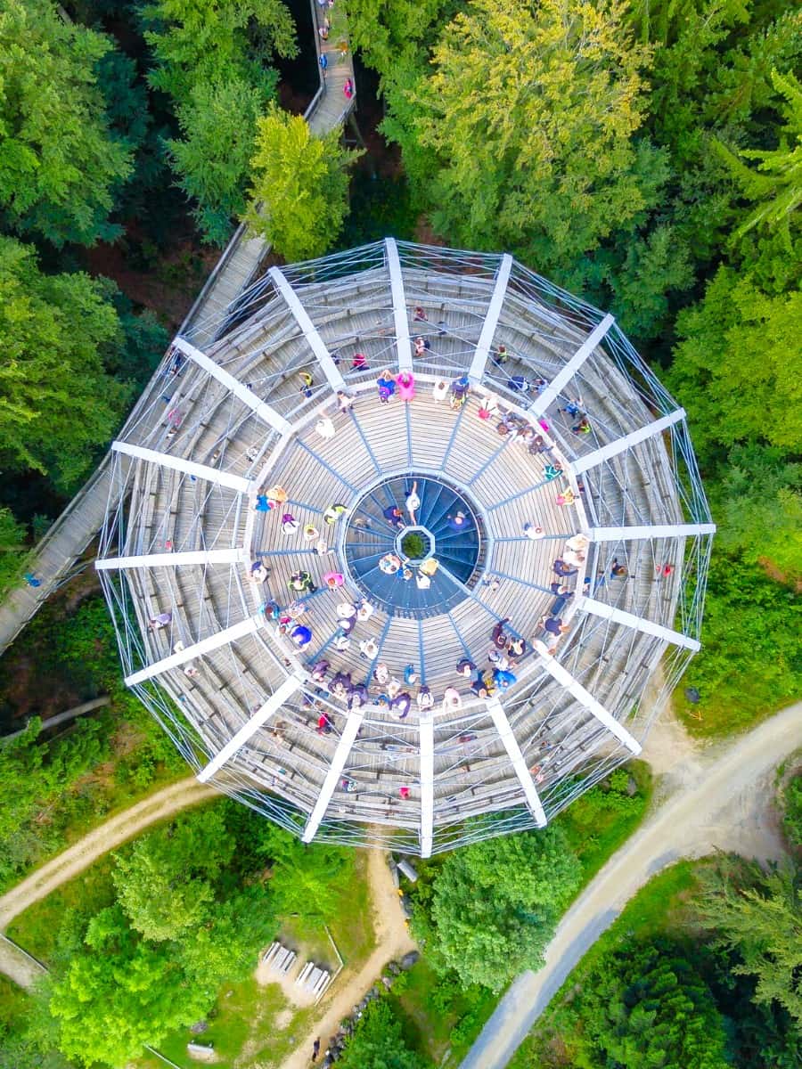 Baumwipfelpfad, Bavaria Baumwipfelpfad, Bavaria