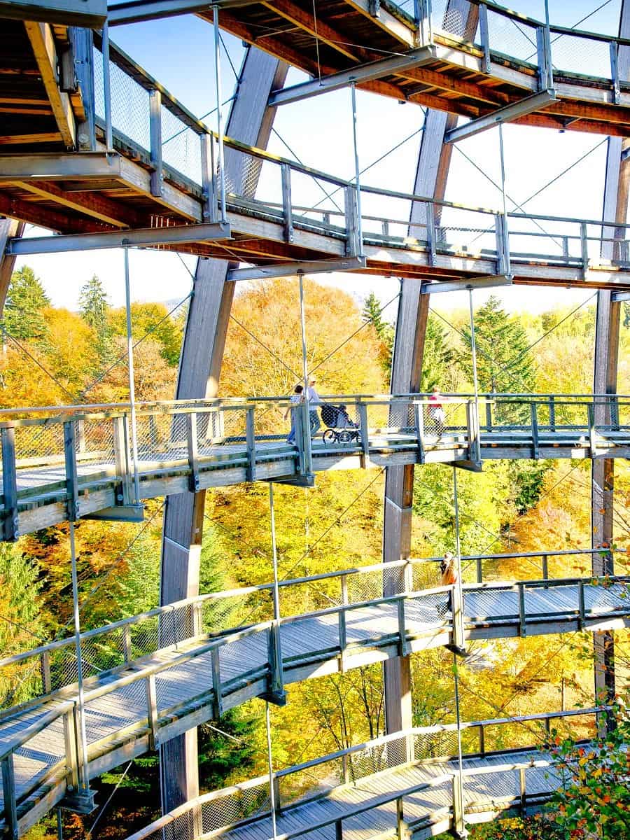 Baumwipfelpfad, Bavaria Baumwipfelpfad, Bavaria