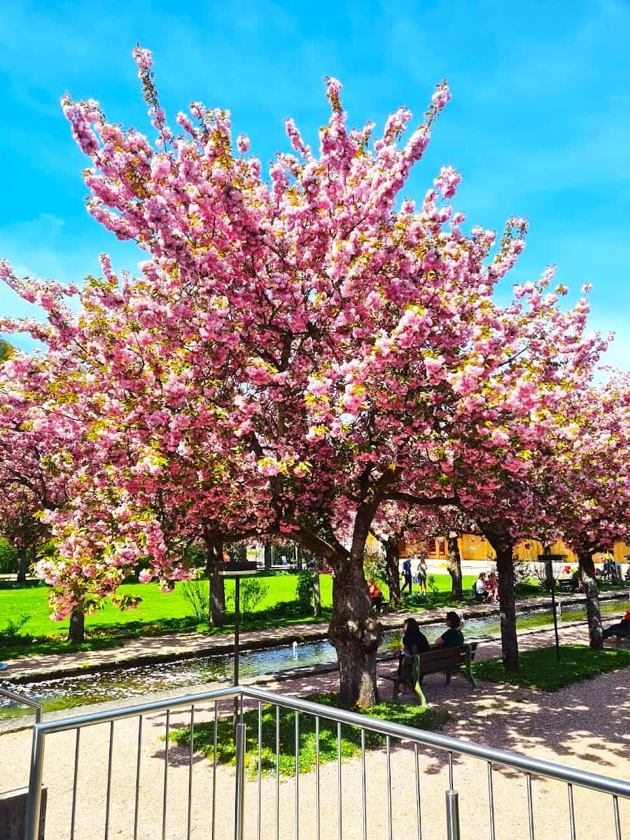 Berchtesgaden Kurpark, Berchtesgaden Berchtesgaden Kurpark, Berchtesgaden