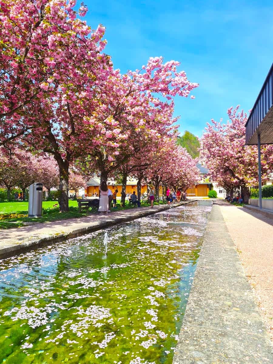 Berchtesgaden Kurpark, Berchtesgaden Berchtesgaden Kurpark, Berchtesgaden