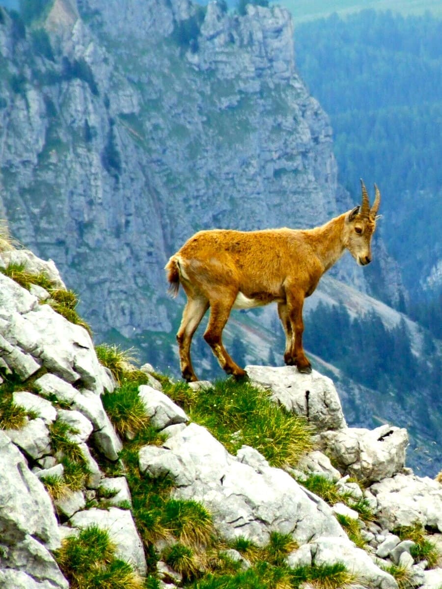 Berchtesgaden National Park, Berchtesgaden Berchtesgaden National Park, Berchtesgaden