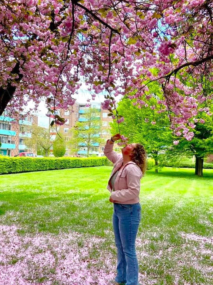 Bloesemroute, Zwolle