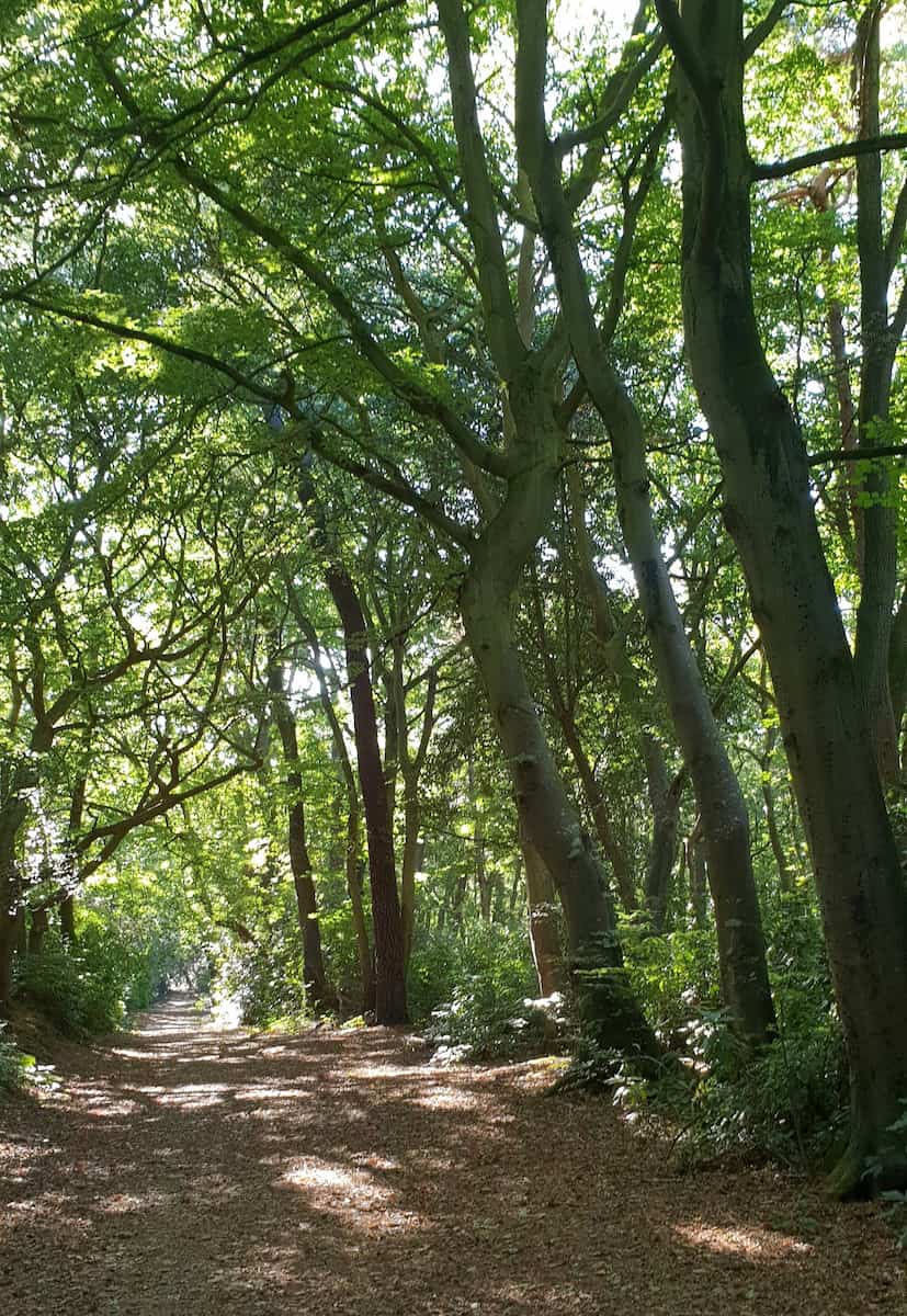 Bois du Breuil, Honfleur Bois du Breuil, Honfleur