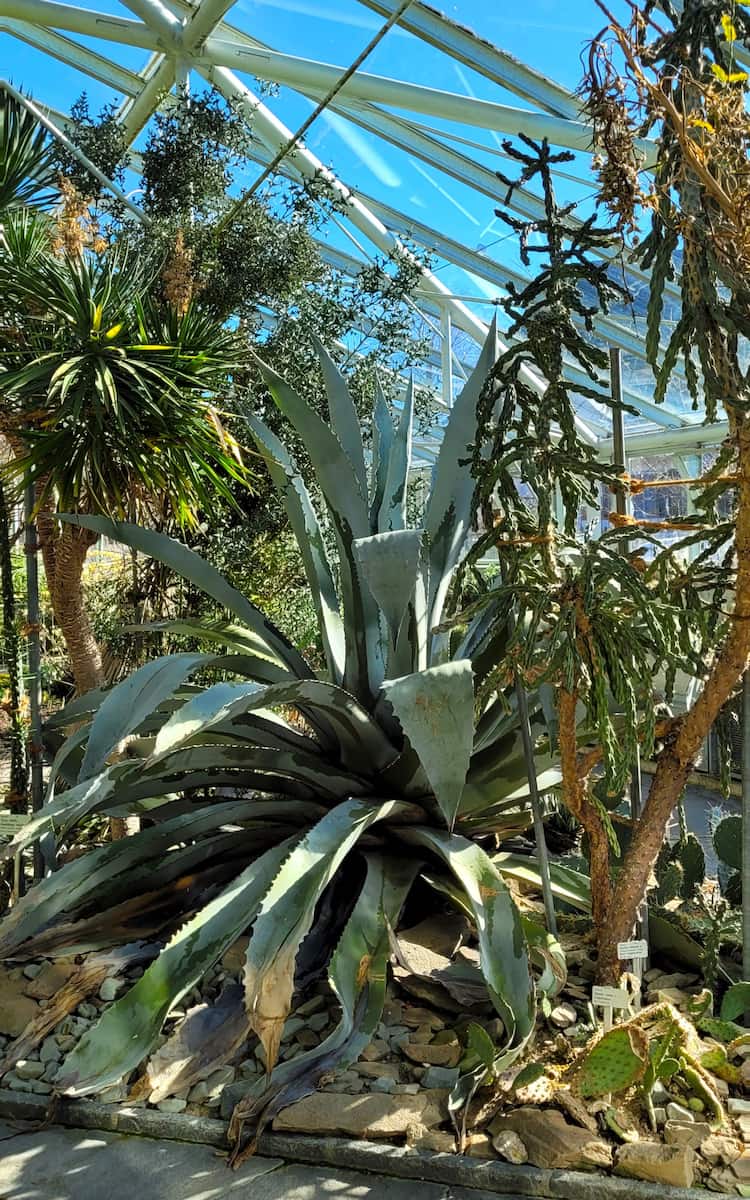 Botanical Garden St. Gallen Botanical Garden St. Gallen