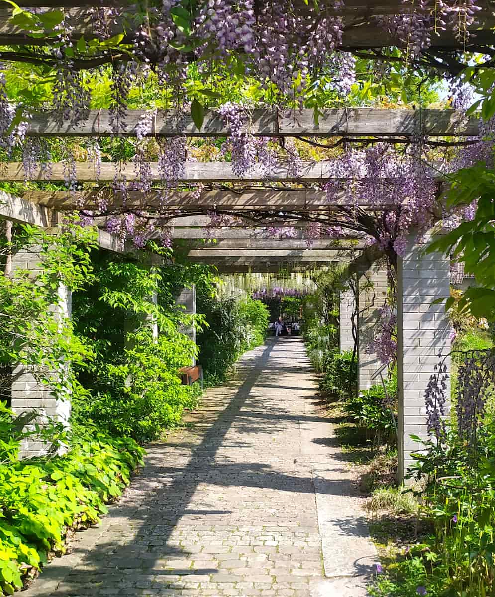Botanical Garden St. Gallen Botanical Garden St. Gallen