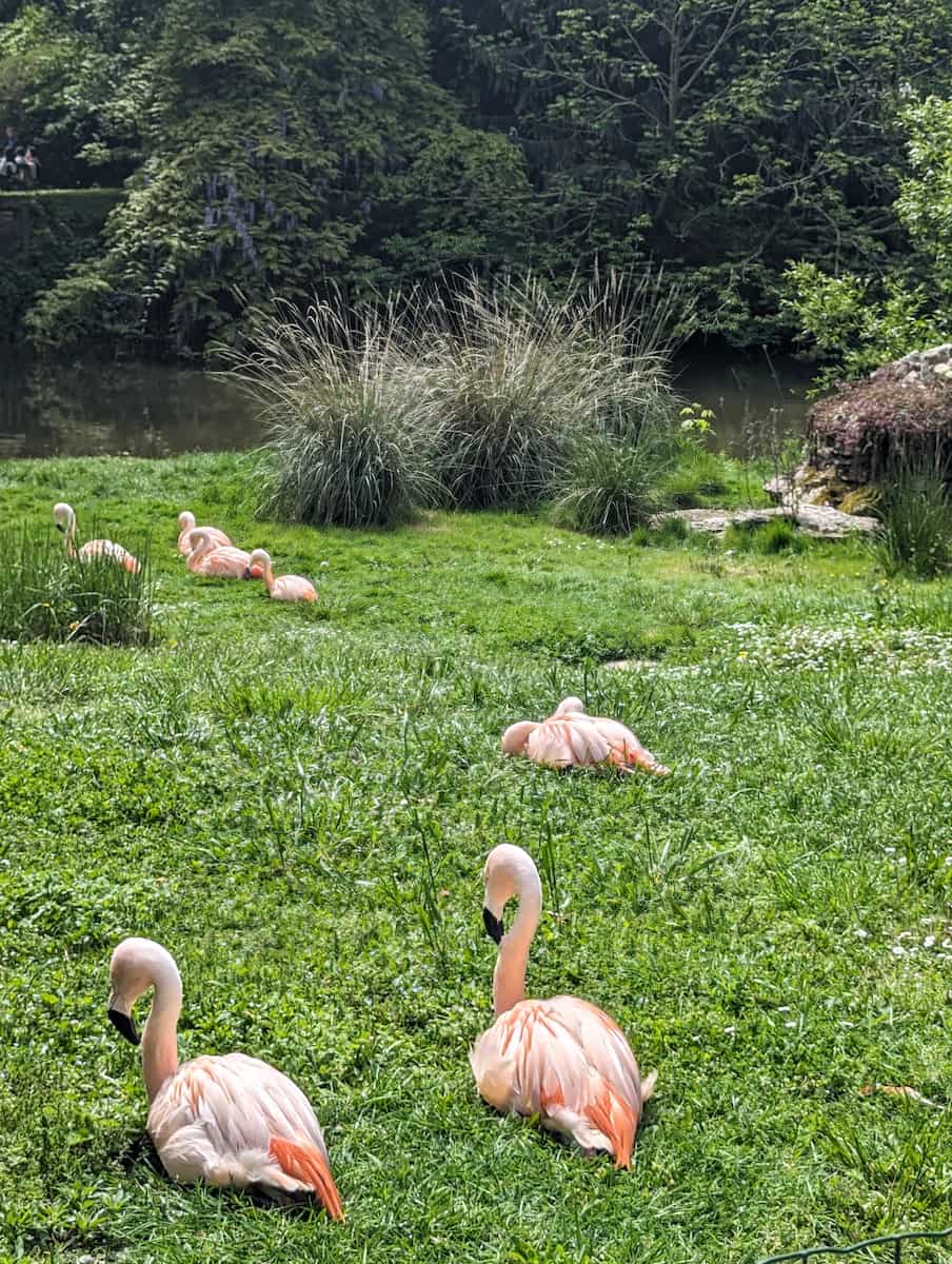 Botanical Garden Tours Loire Valley Botanical Garden Tours Loire Valley