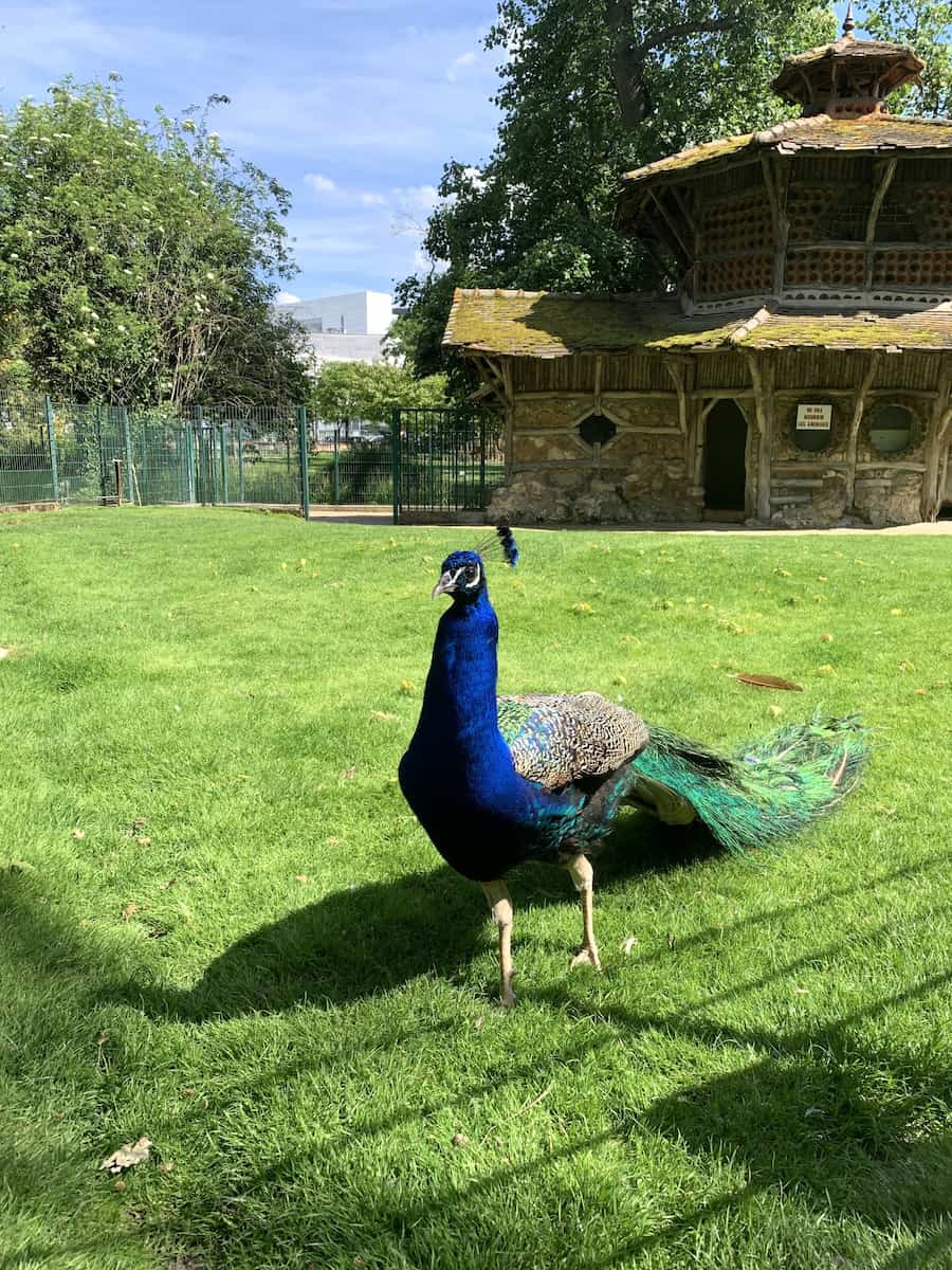 Botanical Garden Tours Loire Valley Botanical Garden Tours Loire Valley