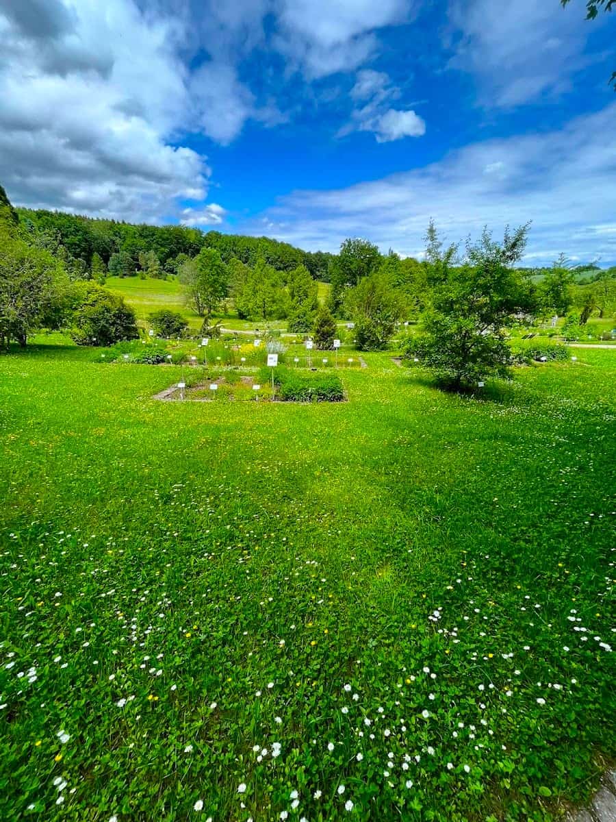 Botanical Garden of Ulm University, Ulm Botanical Garden of Ulm University, Ulm