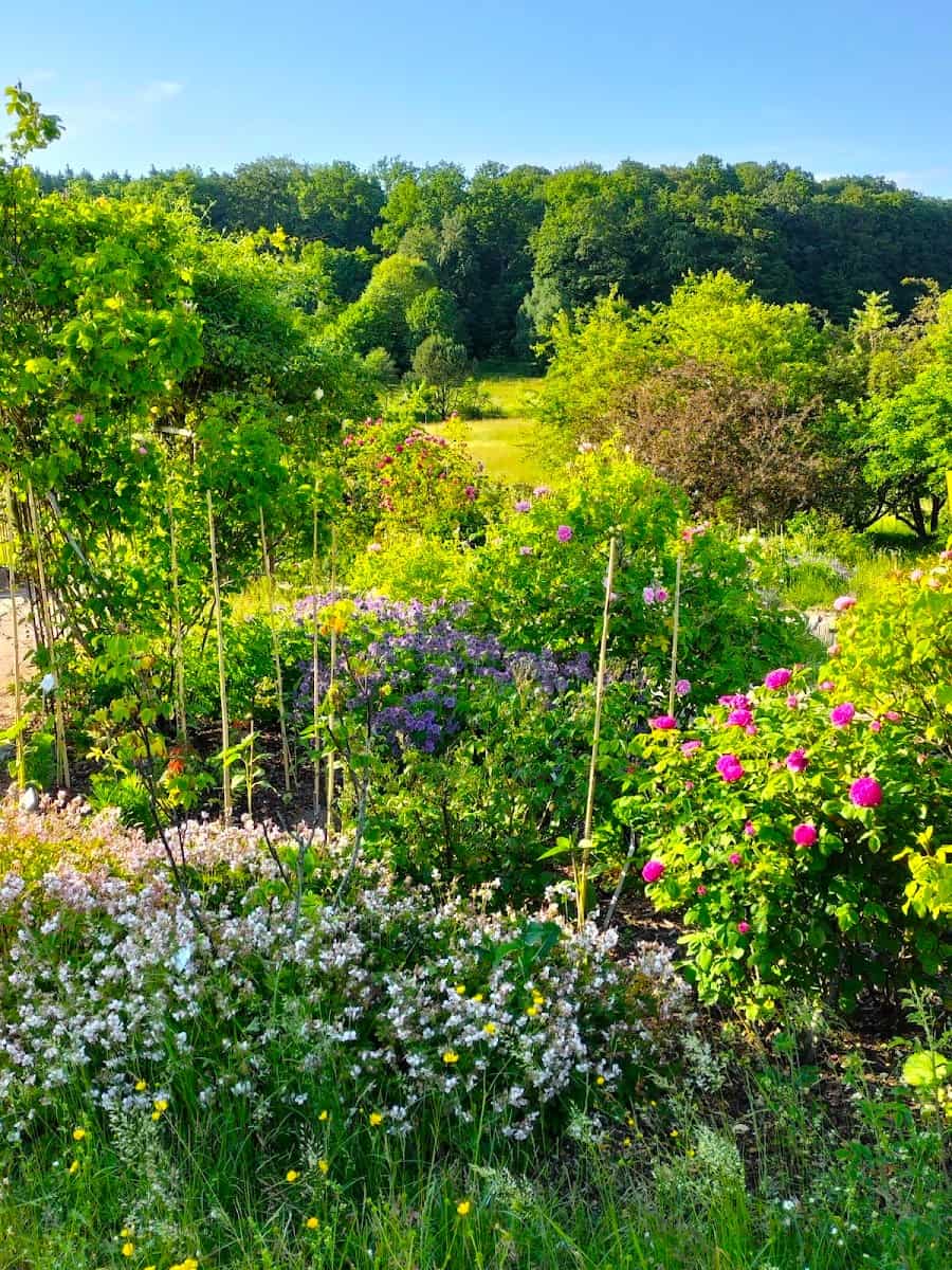 Botanical Garden of Ulm University, Ulm Botanical Garden of Ulm University, Ulm