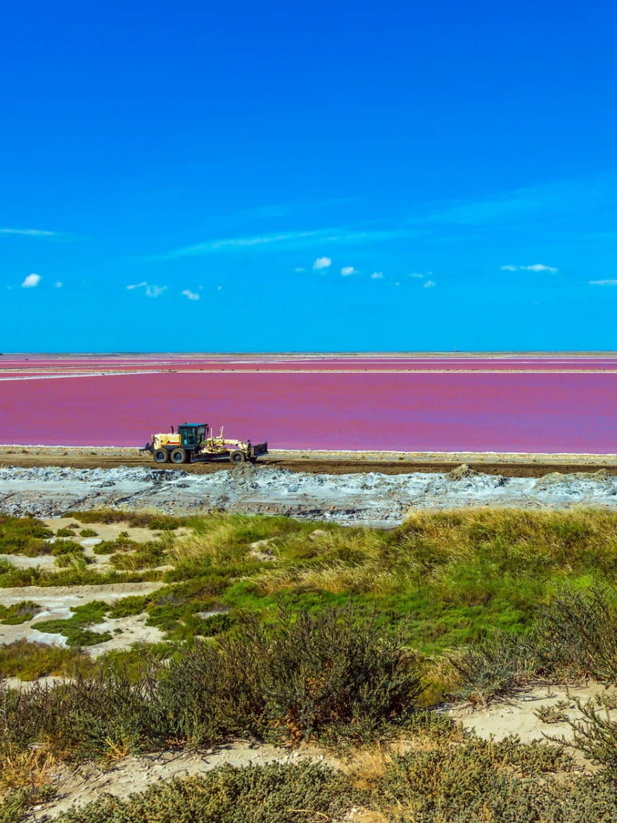 Camargue National Park, Arles Camargue National Park, Arles