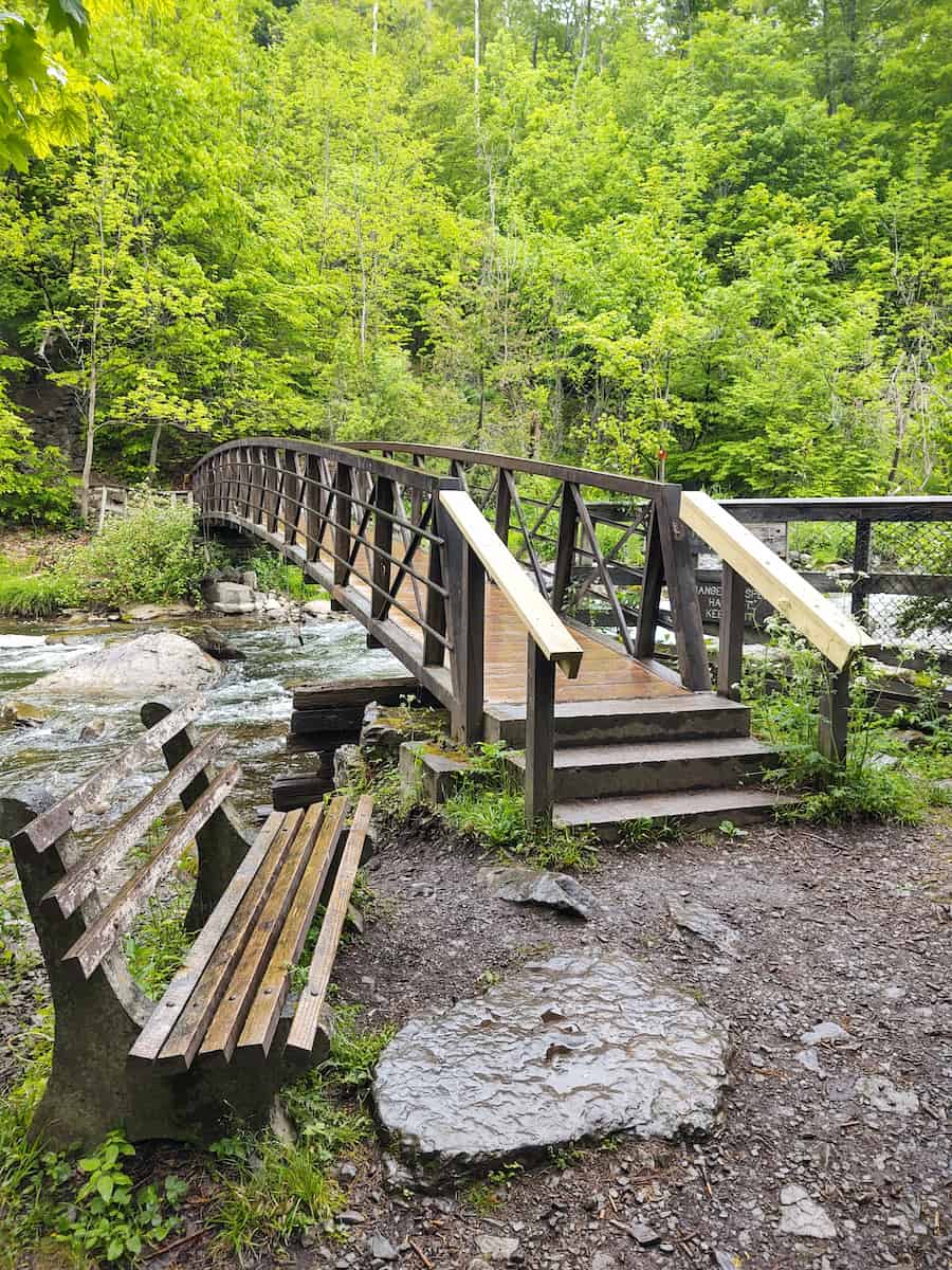 Chittenango Falls State Park, Syracuse Chittenango Falls State Park, Syracuse
