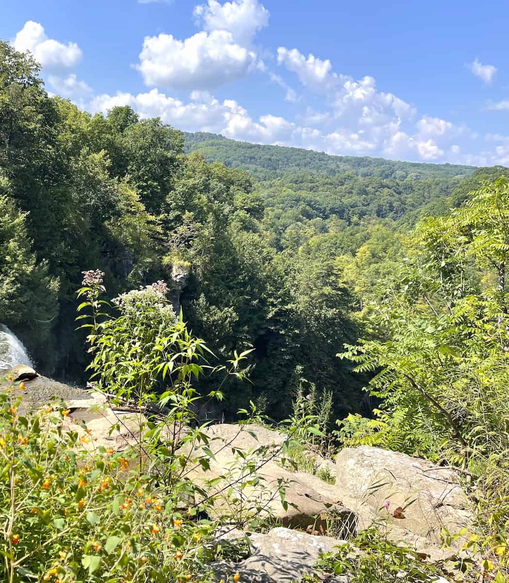 Chittenango Falls State Park Syracuse 3 Chittenango Falls State Park, Syracuse