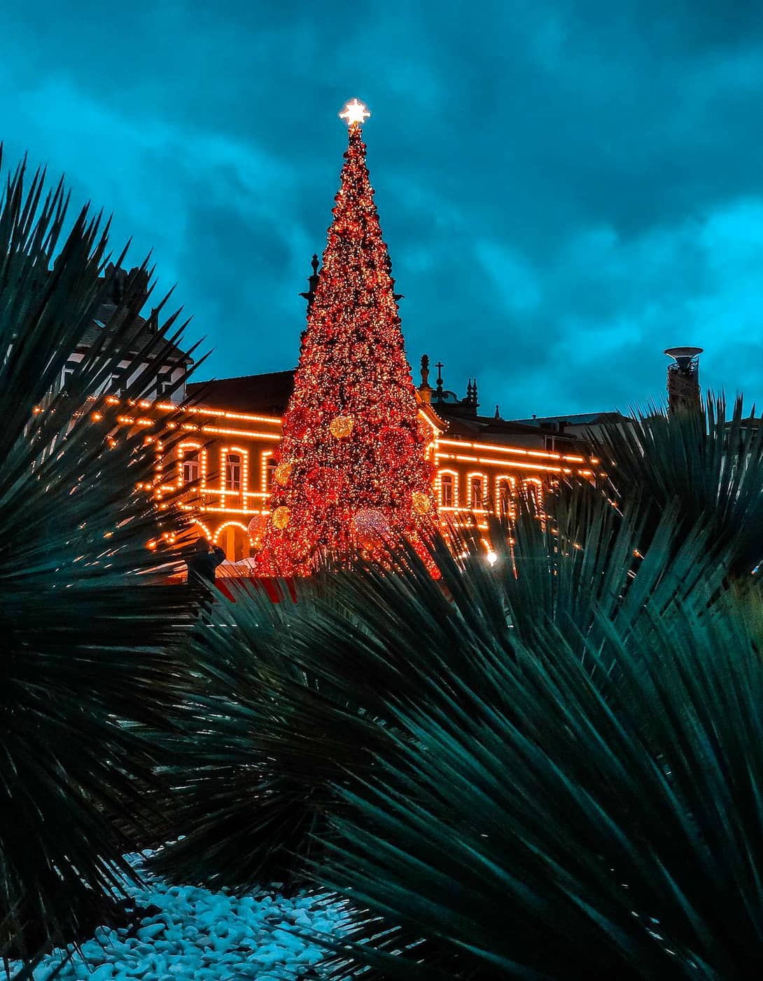 Christmas Braga Christmas Braga