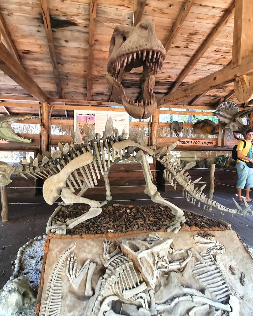 Dinopark Funtana, Rovinj Dinopark Funtana, Rovinj