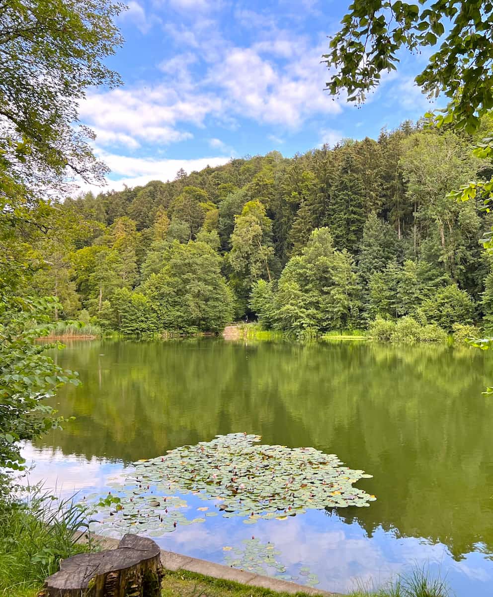 Drei Weieren Lakes St. Gallen Drei Weieren Lakes St. Gallen
