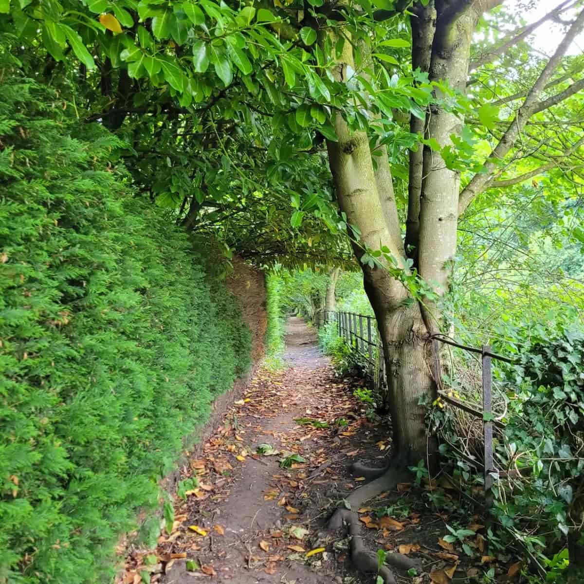 Drummer Boy Walk, Richmond