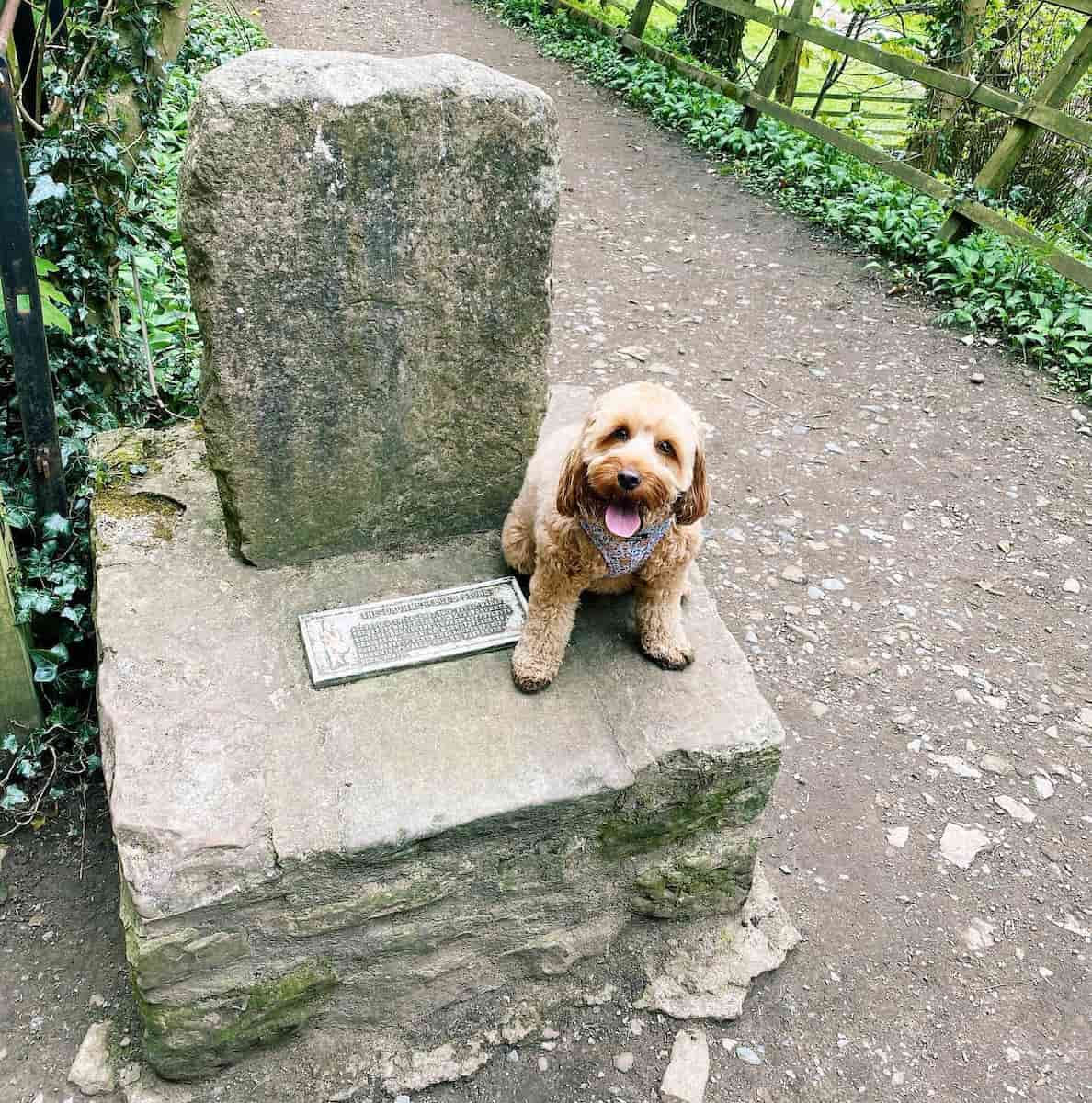 Drummer Boy Walk, Richmond