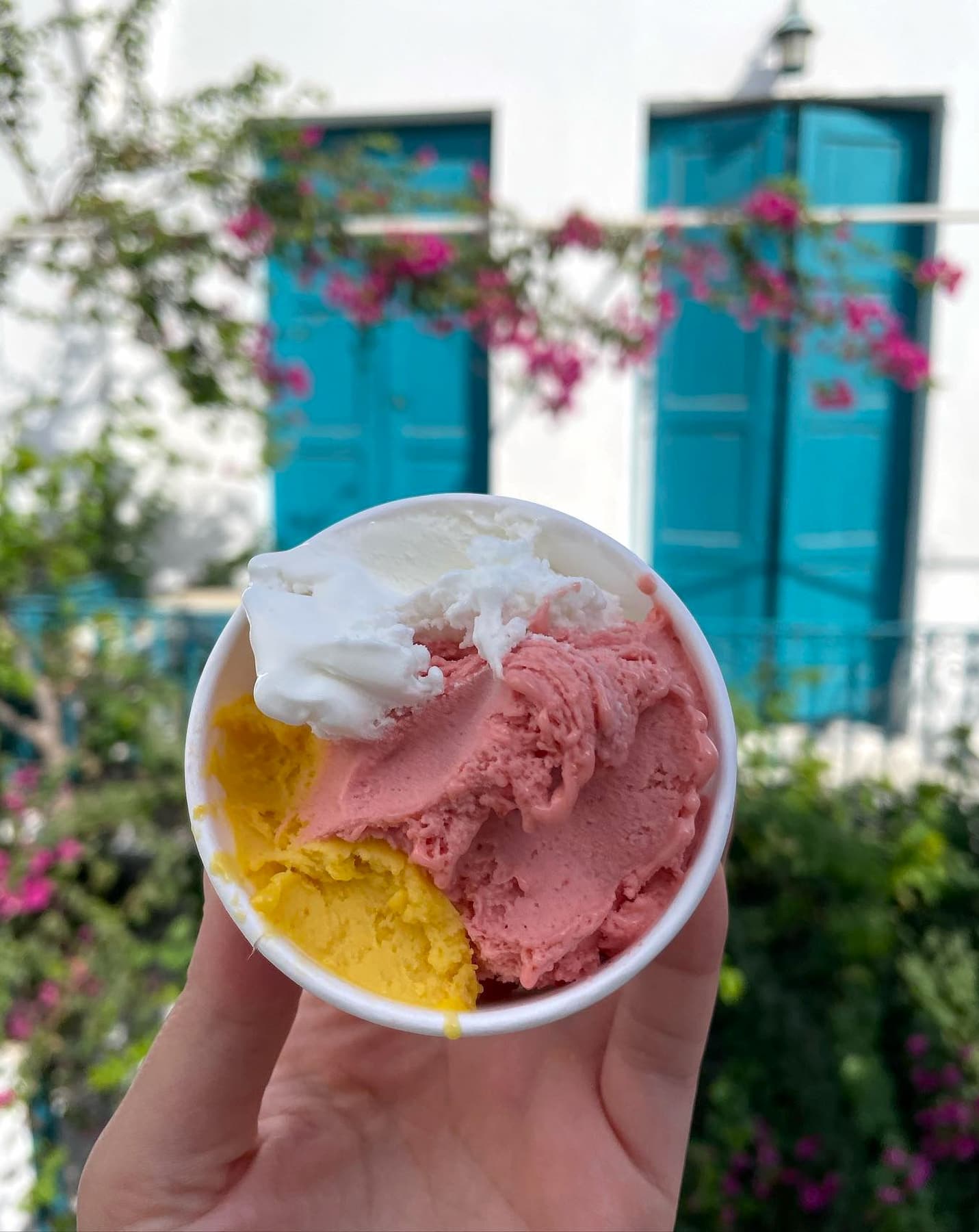 Family Gelato Shops Monterosso Family Gelato Shops Monterosso