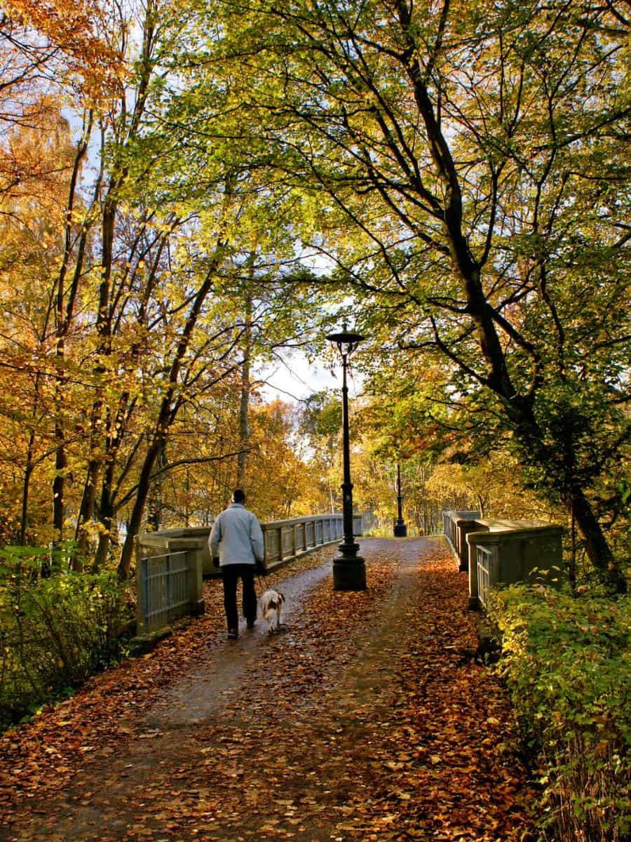 Fruens Bøge Forest, Odense Fruens Bøge Forest, Odense