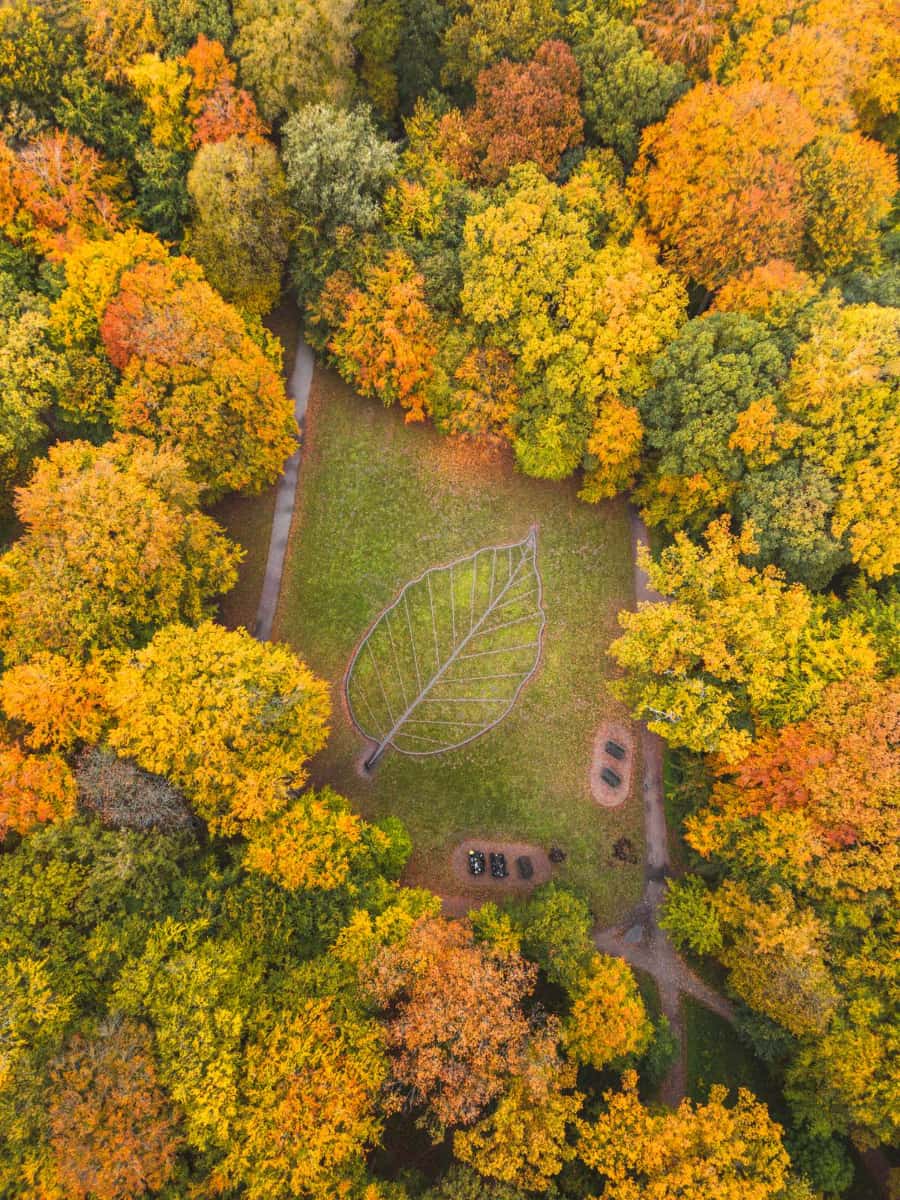 Fruens Bøge Forest, Odense Fruens Bøge Forest, Odense