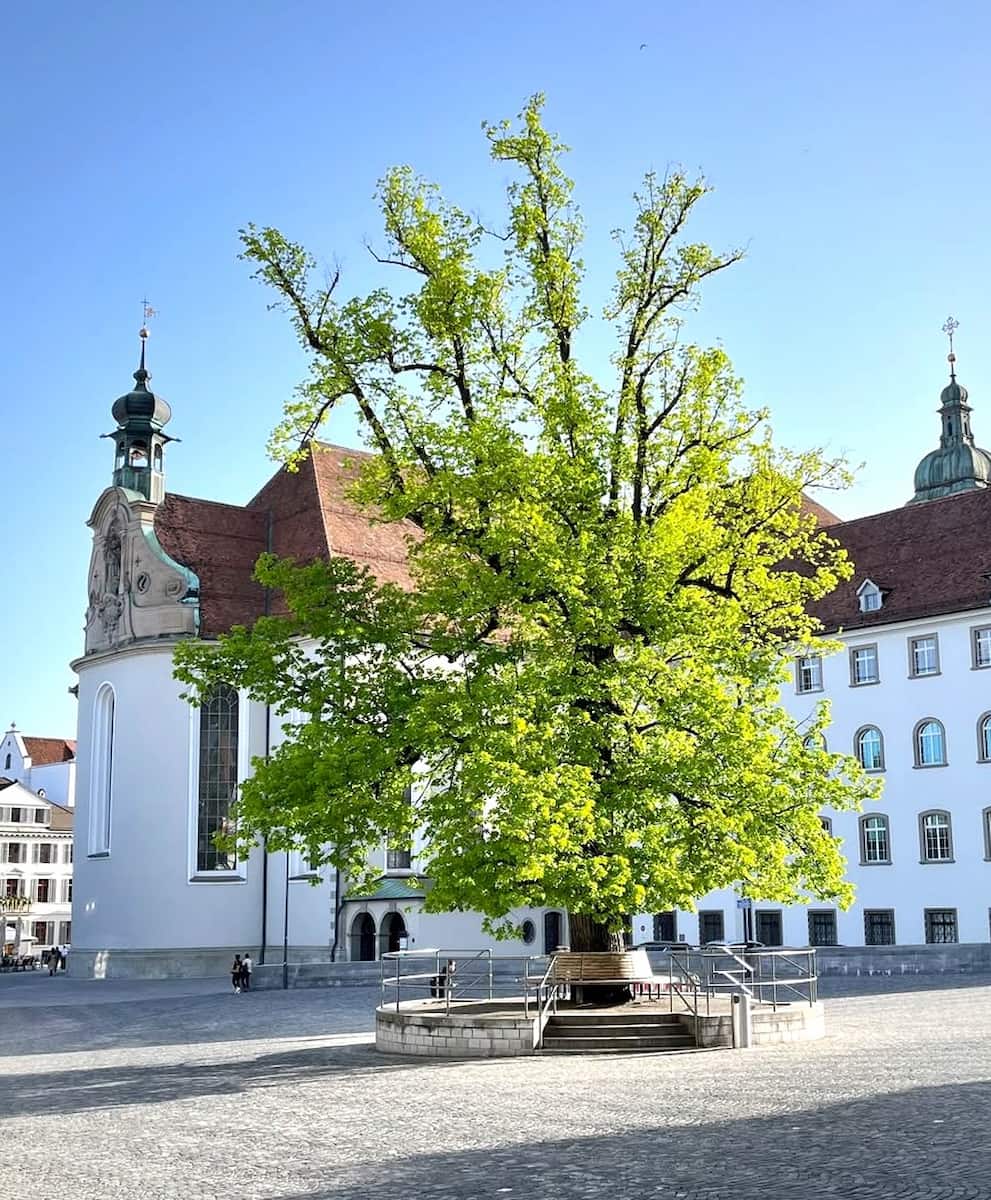 Gallus Square St Gallen Gallus Square St Gallen