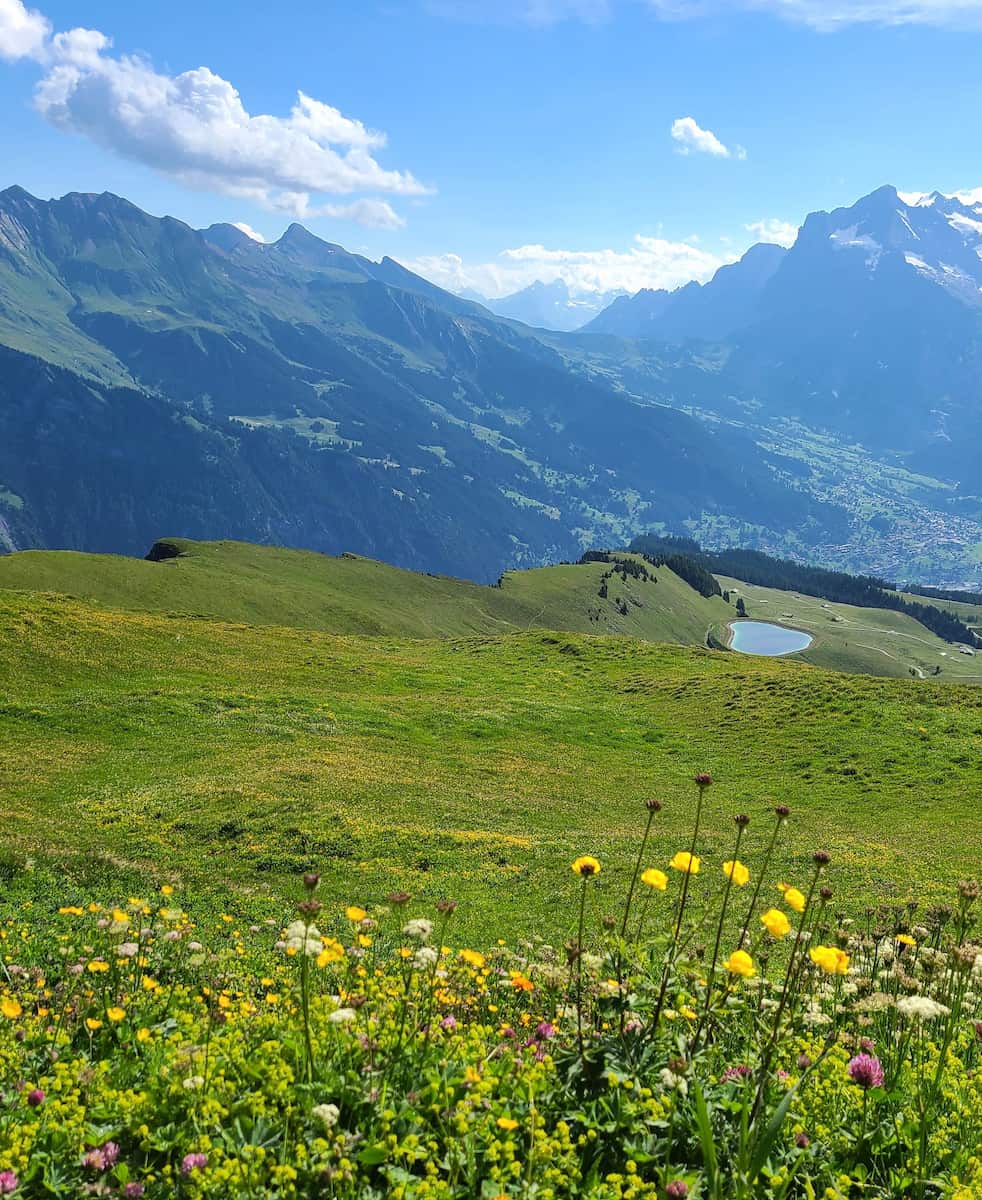 Horneggli Panorama Trail Gstaad Horneggli Panorama Trail Gstaad