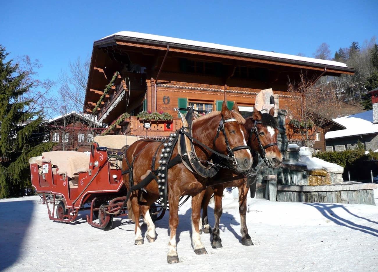 Horse-Drawn Carriage Gstaad Horse-Drawn Carriage Gstaad