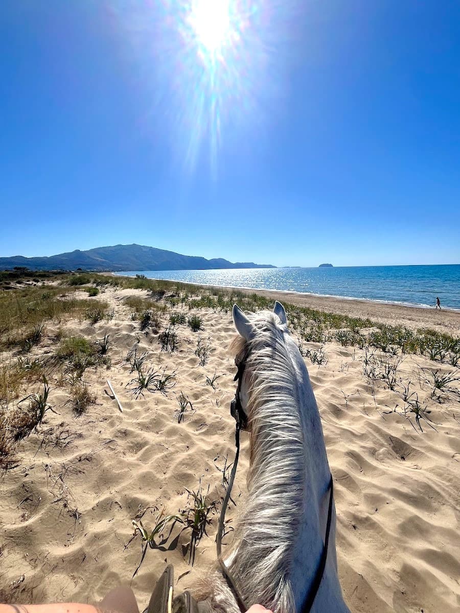 Horse Riding Center, Laganas
