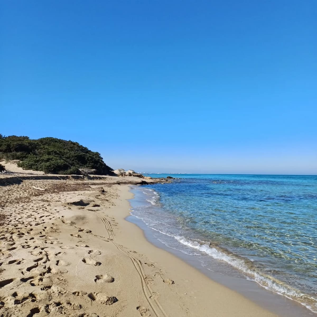 Horseback Riding in Parco Dune Costiere