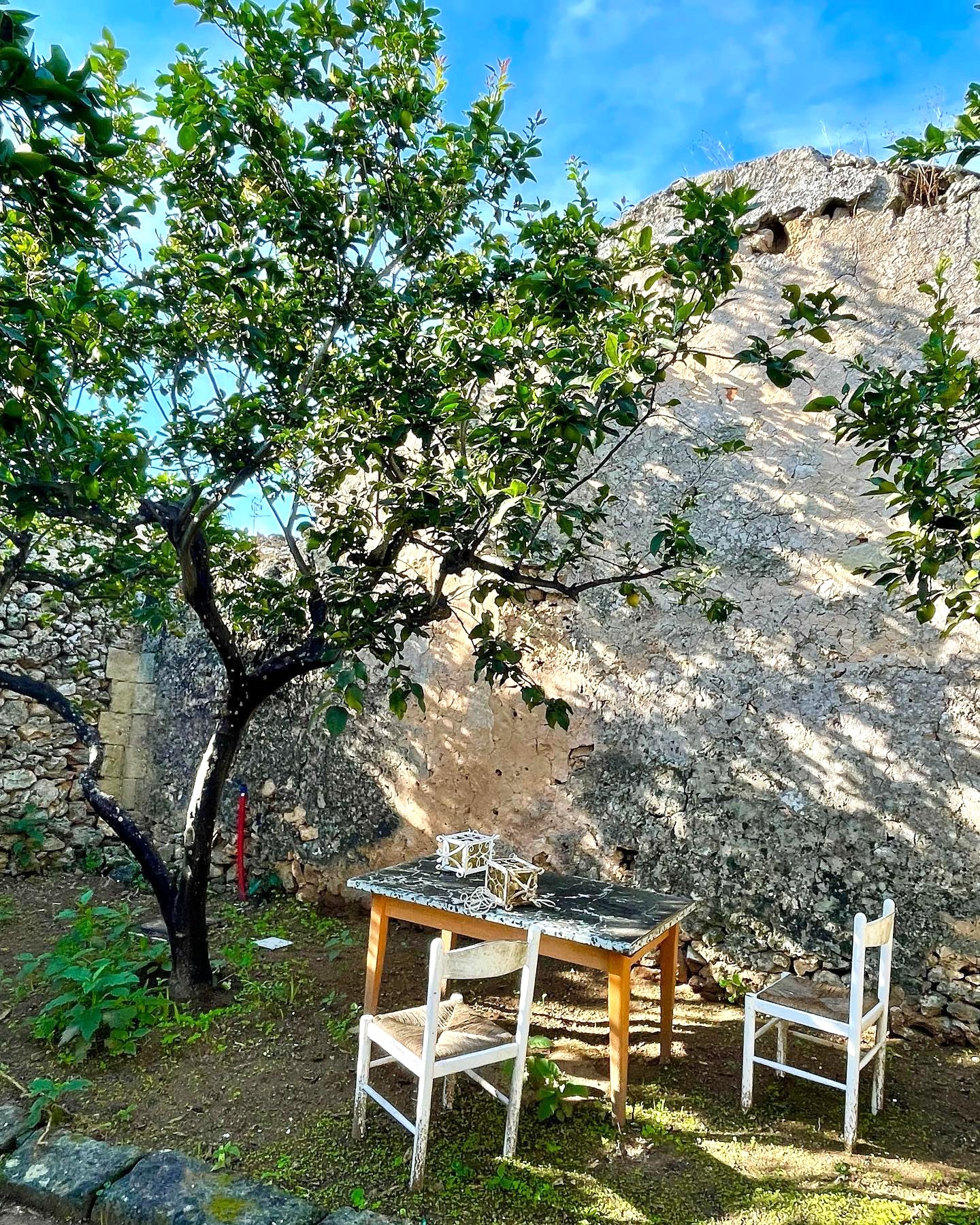 Jardin dāAgrumes, Menton Jardin dāAgrumes, Menton