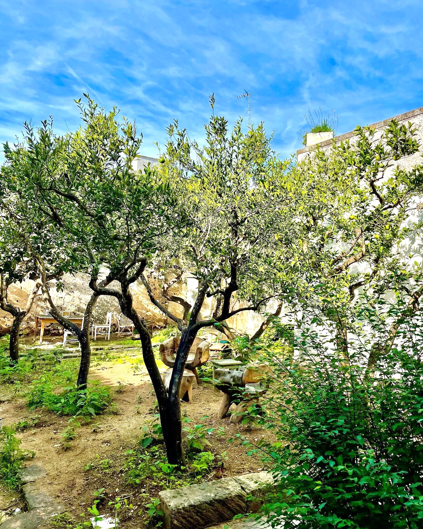 Jardin dāAgrumes, Menton Jardin dāAgrumes, Menton