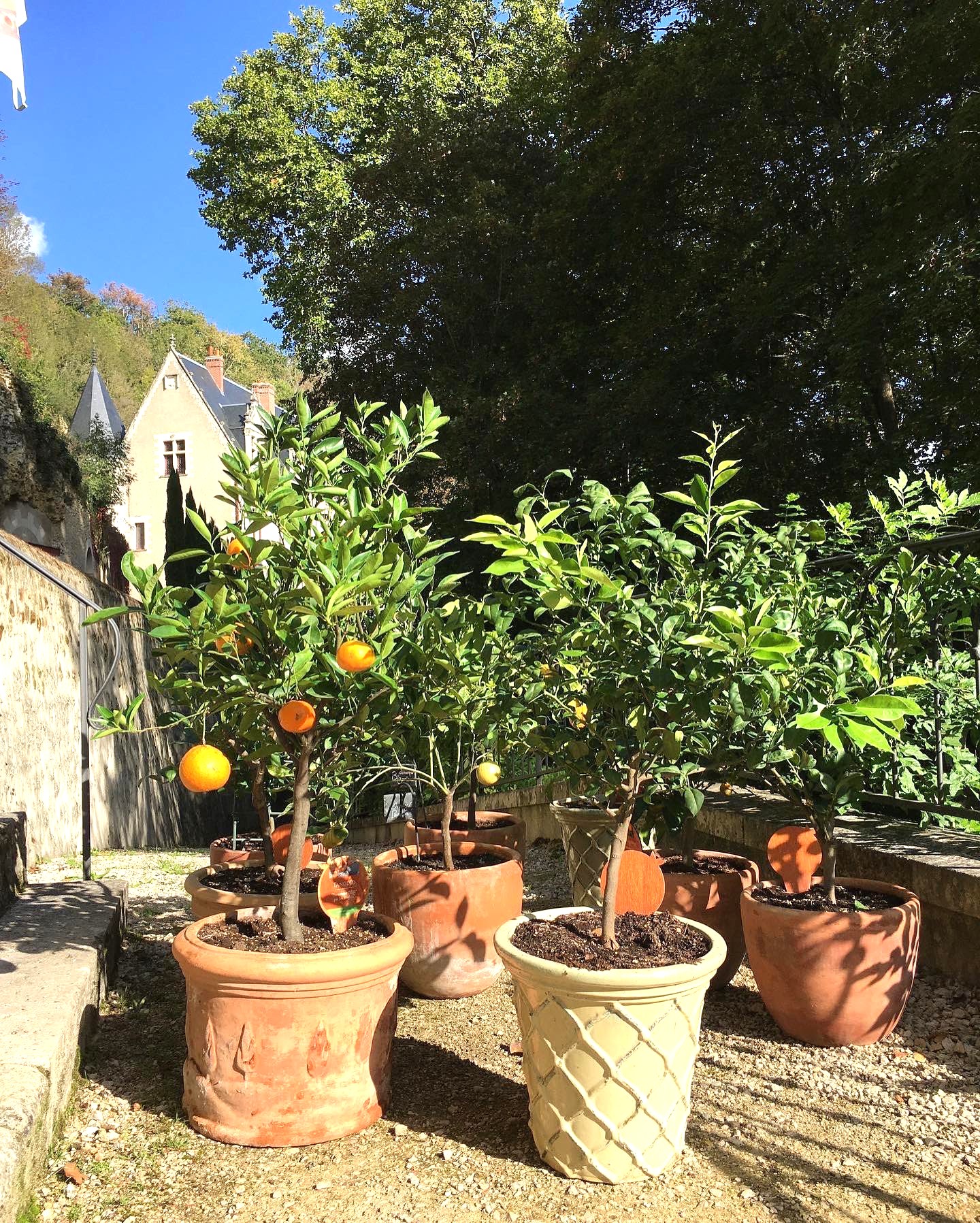 Jardin dāAgrumes, Menton Jardin dāAgrumes, Menton