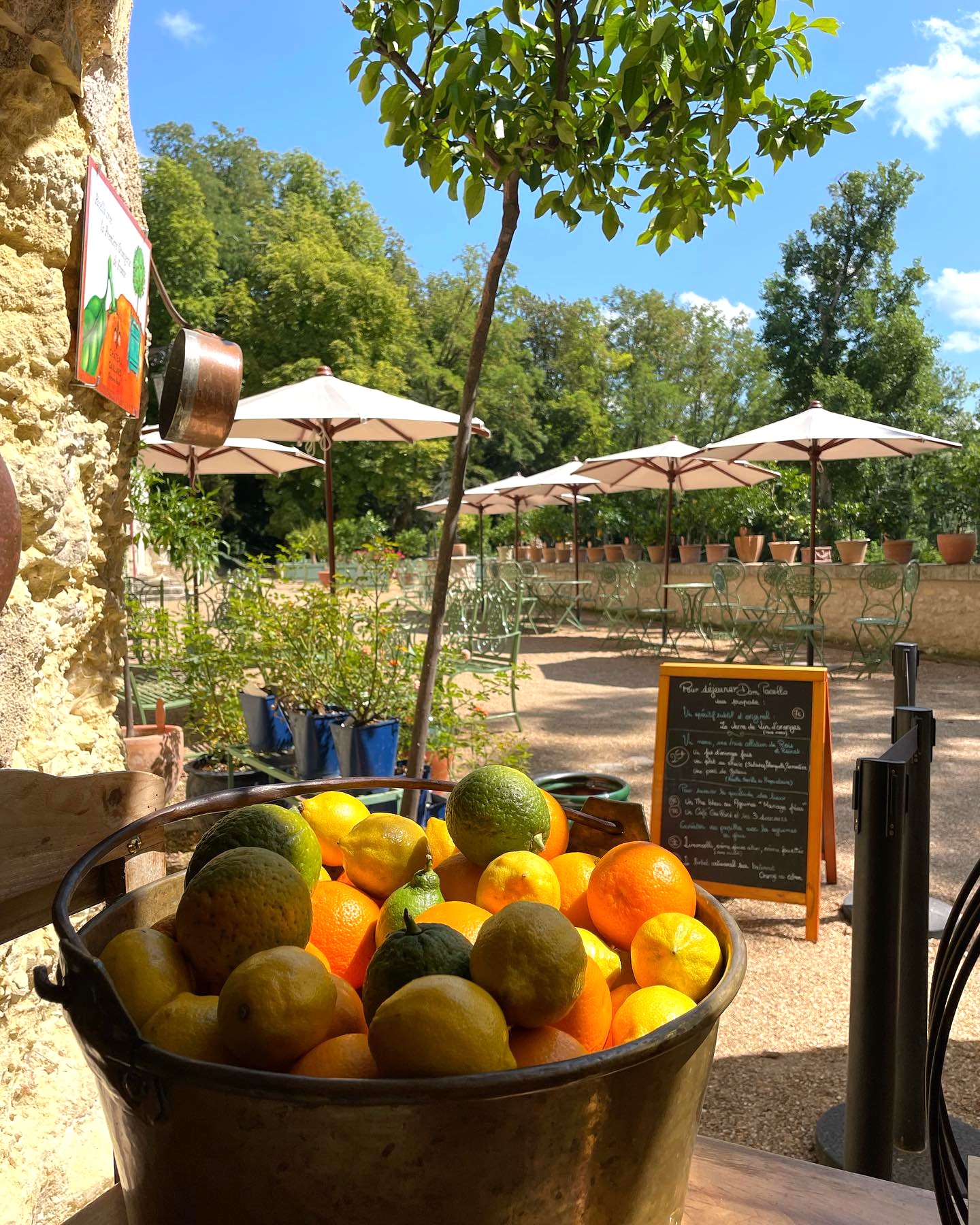 Jardin dāAgrumes, Menton Jardin dāAgrumes, Menton