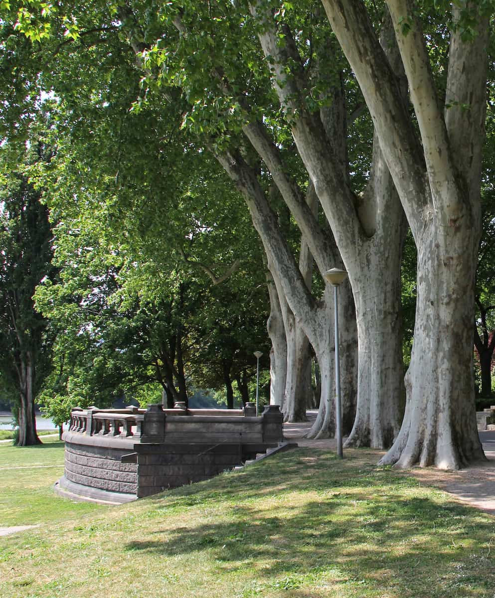 Kaiserin-Augusta-Anlagen Koblenz Kaiserin-Augusta-Anlagen Koblenz