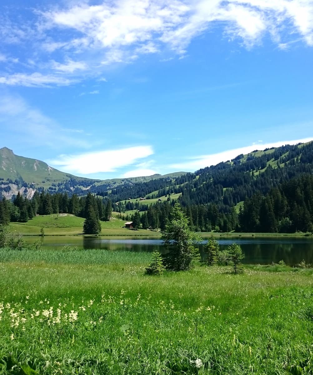 Lake Lauenen Gstaad Lake Lauenen Gstaad