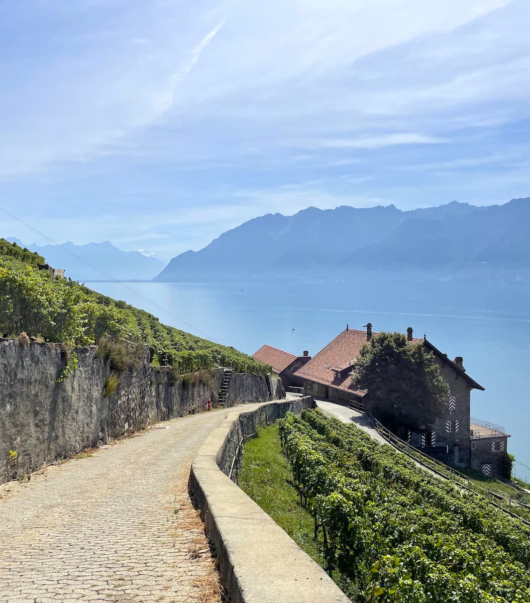 Lavaux Wine Walk Switzerland Lavaux Wine Walk Switzerland