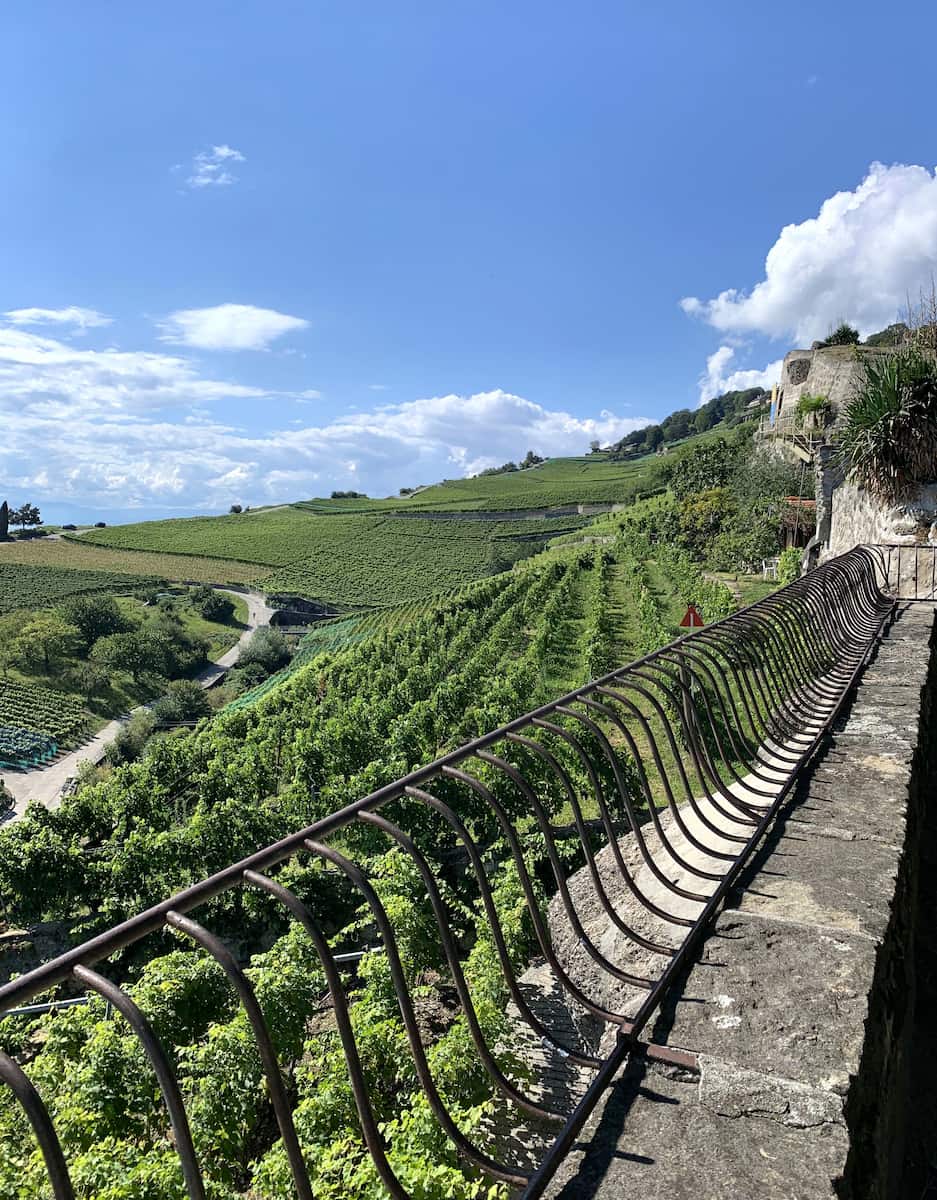 Lavaux Wine Walk Switzerland Lavaux Wine Walk Switzerland