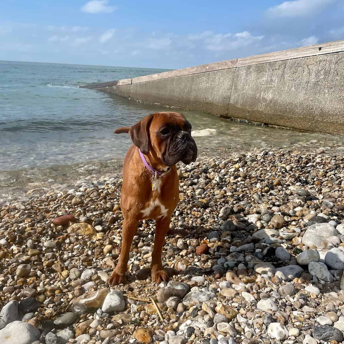 Le Havre Beach Le Havre Beach