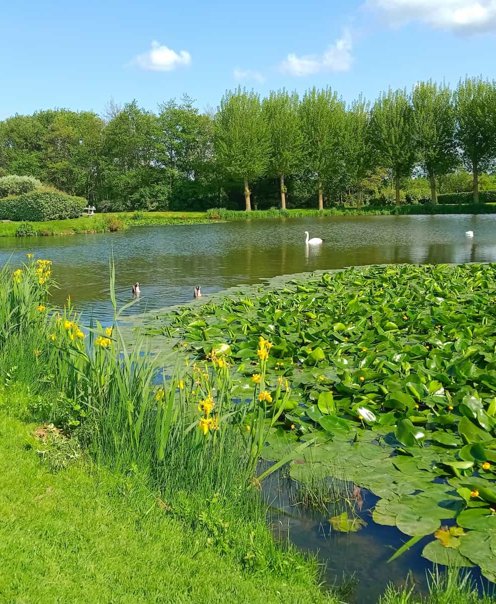 Le Jardin des Personnalités, Honfleur Le Jardin des Personnalités, Honfleur