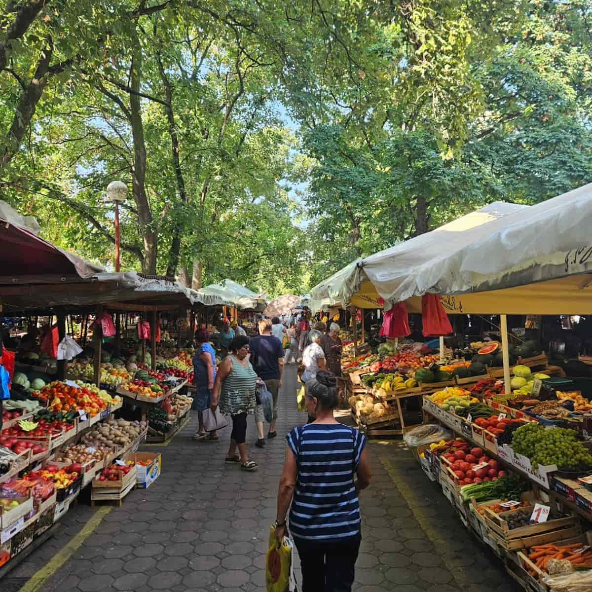 Local Markets, Tivat