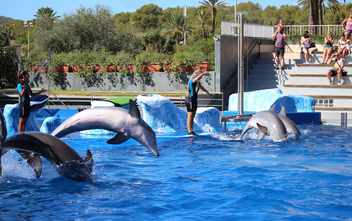 Marineland Mallorca, Magaluf